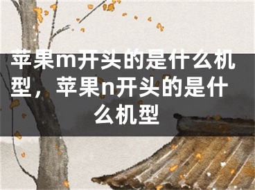 苹果m开头的是什么机型，苹果n开头的是什么机型