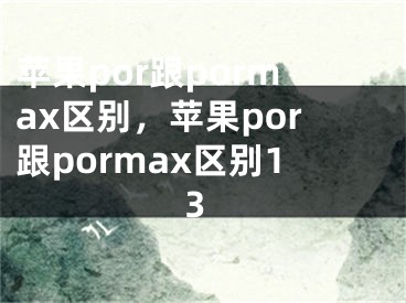 苹果por跟pormax区别，苹果por跟pormax区别13