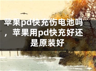 苹果pd快充伤电池吗，苹果用pd快充好还是原装好