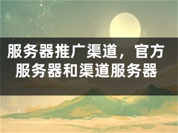 服务器推广渠道，官方服务器和渠道服务器