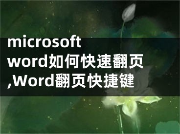 microsoft word如何快速翻页,Word翻页快捷键