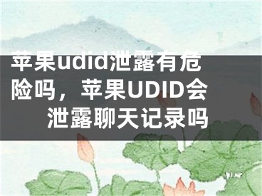 苹果udid泄露有危险吗，苹果UDID会泄露聊天记录吗