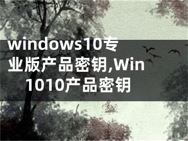 windows10专业版产品密钥,Win1010产品密钥