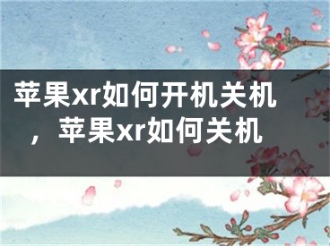 苹果xr如何开机关机，苹果xr如何关机