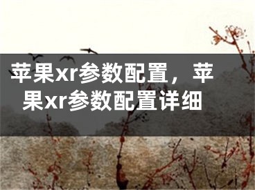 苹果xr参数配置，苹果xr参数配置详细