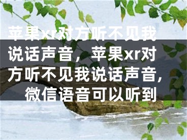 苹果xr对方听不见我说话声音，苹果xr对方听不见我说话声音,微信语音可以听到 