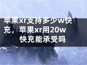 苹果xr支持多少w快充，苹果xr用20w快充能承受吗