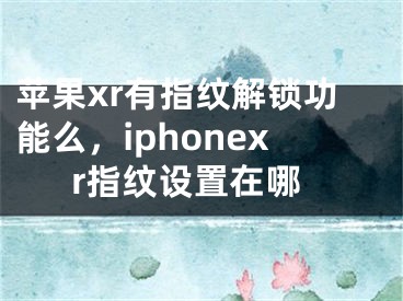 苹果xr有指纹解锁功能么，iphonexr指纹设置在哪