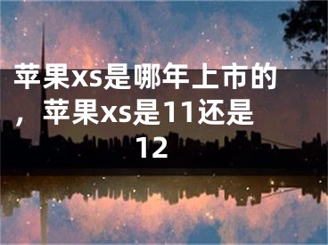 苹果xs是哪年上市的，苹果xs是11还是12