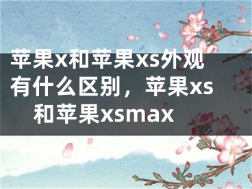 苹果x和苹果xs外观有什么区别，苹果xs和苹果xsmax