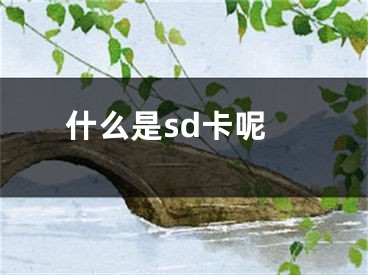 什么是sd卡呢