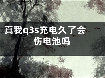 真我q3s充电久了会伤电池吗