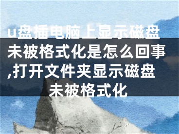 u盘插电脑上显示磁盘未被格式化是怎么回事,打开文件夹显示磁盘未被格式化