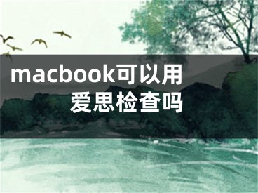 macbook可以用爱思检查吗