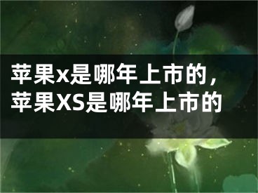 苹果x是哪年上市的，苹果XS是哪年上市的