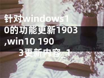 针对windows10的功能更新1903,win10 1903更新内容_1