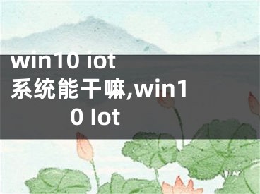 win10 iot 系统能干嘛,win10 Iot