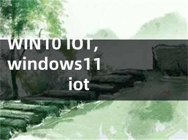 WIN10 IOT,windows11 iot