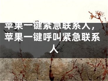 苹果一键紧急联系人，苹果一键呼叫紧急联系人