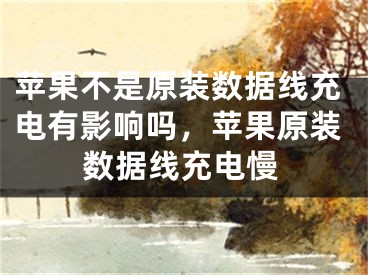 苹果不是原装数据线充电有影响吗，苹果原装数据线充电慢