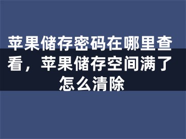 苹果储存密码在哪里查看，苹果储存空间满了怎么清除