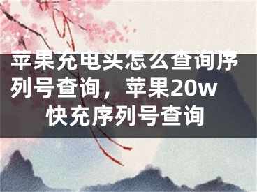 苹果充电头怎么查询序列号查询，苹果20w快充序列号查询