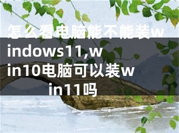 怎么看电脑能不能装windows11,win10电脑可以装win11吗