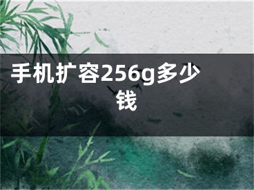 手机扩容256g多少钱