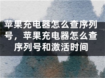 苹果充电器怎么查序列号，苹果充电器怎么查序列号和激活时间