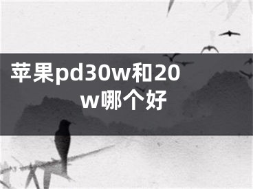 苹果pd30w和20w哪个好