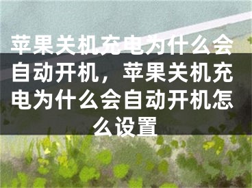 苹果关机充电为什么会自动开机，苹果关机充电为什么会自动开机怎么设置