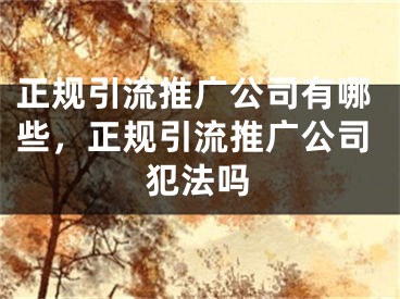 正规引流推广公司有哪些，正规引流推广公司犯法吗