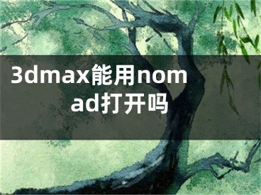 3dmax能用nomad打开吗