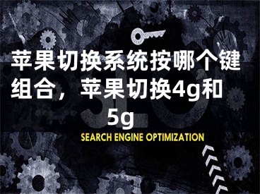 苹果切换系统按哪个键组合，苹果切换4g和5g