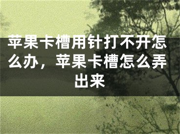 苹果卡槽用针打不开怎么办，苹果卡槽怎么弄出来