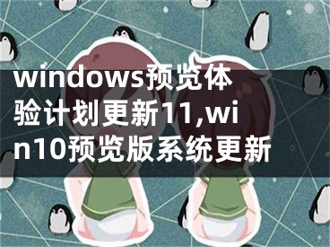 windows预览体验计划更新11,win10预览版系统更新
