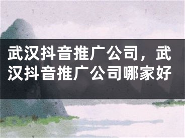 武汉抖音推广公司，武汉抖音推广公司哪家好