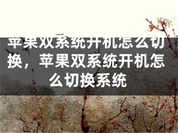 苹果双系统开机怎么切换，苹果双系统开机怎么切换系统