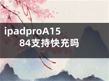 ipadproA1584支持快充吗