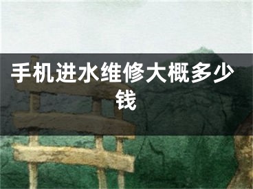 手机进水维修大概多少钱