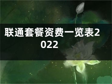 联通套餐资费一览表2022