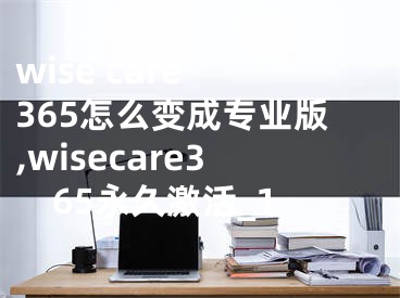 wise care 365怎么变成专业版,wisecare365永久激活_1