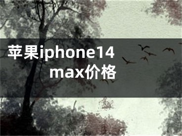 苹果iphone14max价格