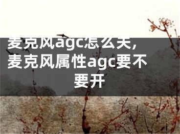 麦克风agc怎么关,麦克风属性agc要不要开