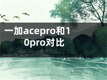 一加acepro和10pro对比