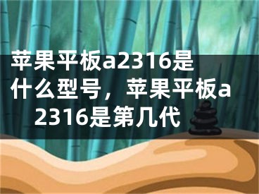 苹果平板a2316是什么型号，苹果平板a2316是第几代