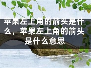 苹果左上角的箭头是什么，苹果左上角的箭头是什么意思