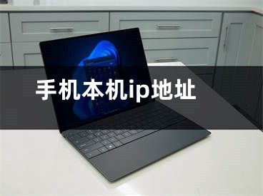 手机本机ip地址