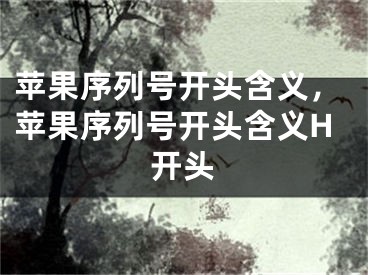 苹果序列号开头含义，苹果序列号开头含义H开头