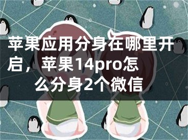 苹果应用分身在哪里开启，苹果14pro怎么分身2个微信